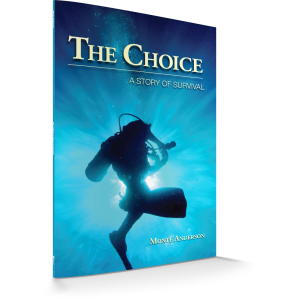 the_choice_-_3d_-_front