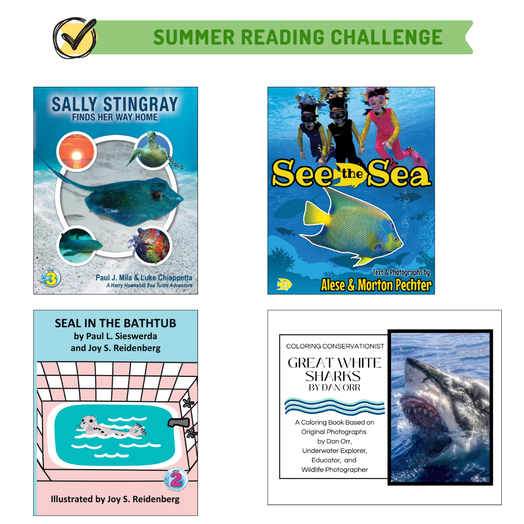 2026 BPC Summer Reading Challenge 1 FB Square 3
