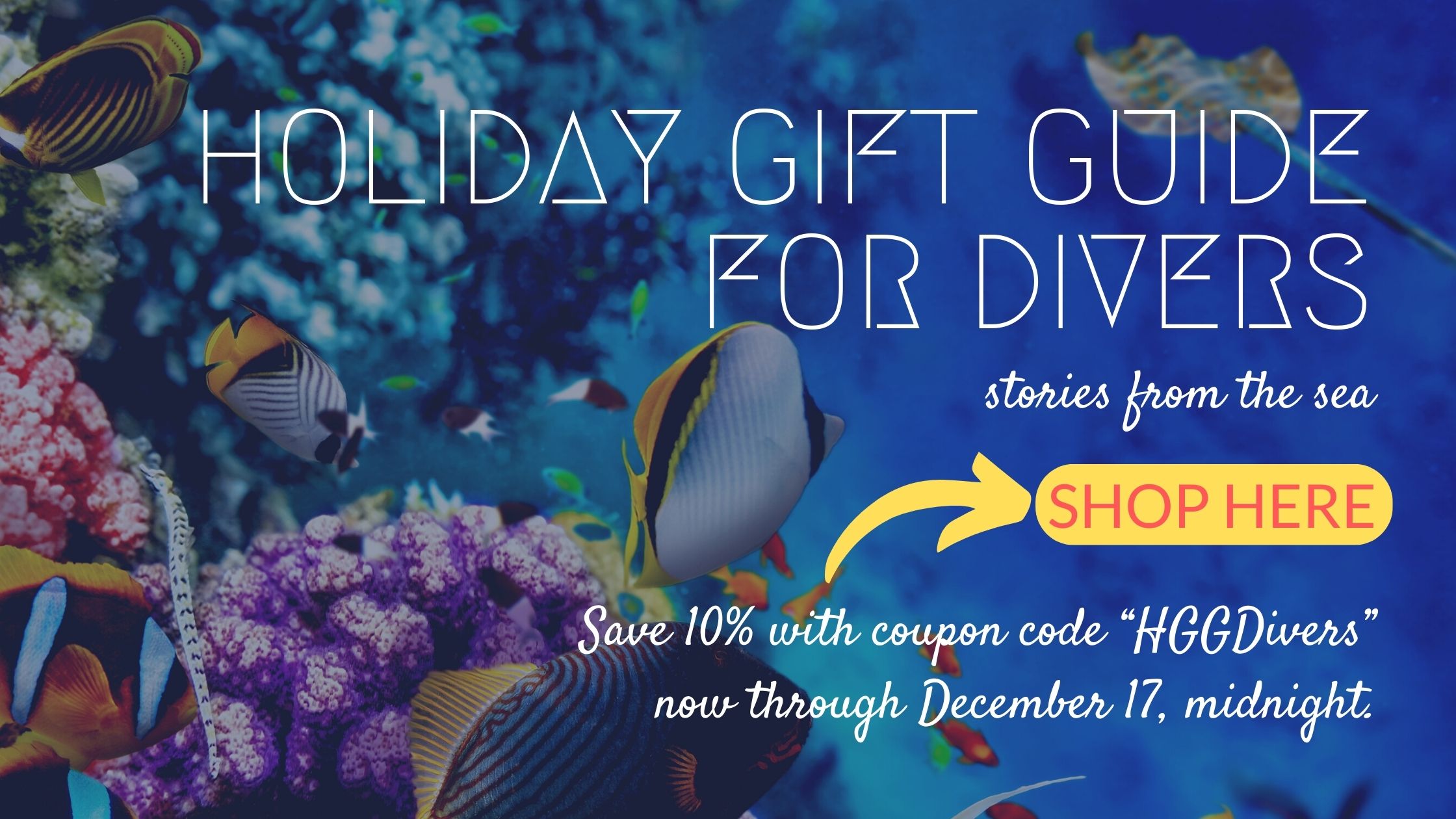 Blue Snorkeling Photo Blog Banner 3