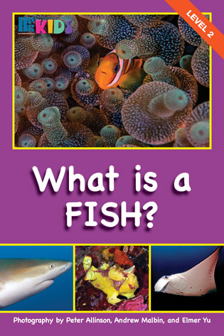 What is a FISH COVER web
