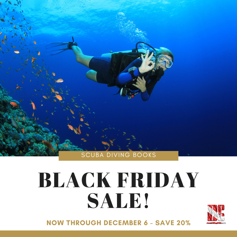 Black Friday Sale