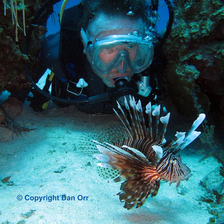 Lobster and Lionfish