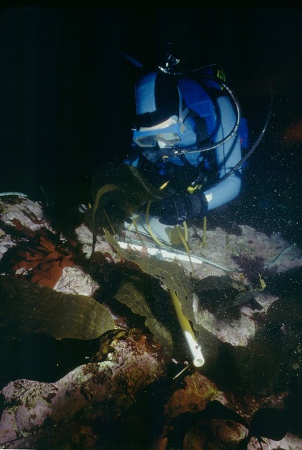 Scientific Diving Techniques