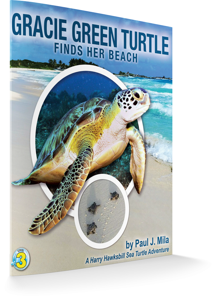 Best Publishing Company - Gracie Green Turtle Finds Her Beach