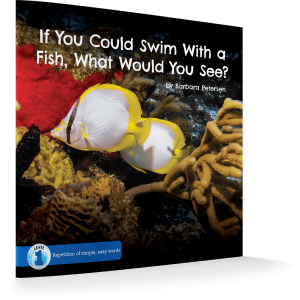 if-you-could-swim-with-a-fish-what-would-you-see