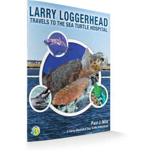 larry-loggerhead-3d-cover