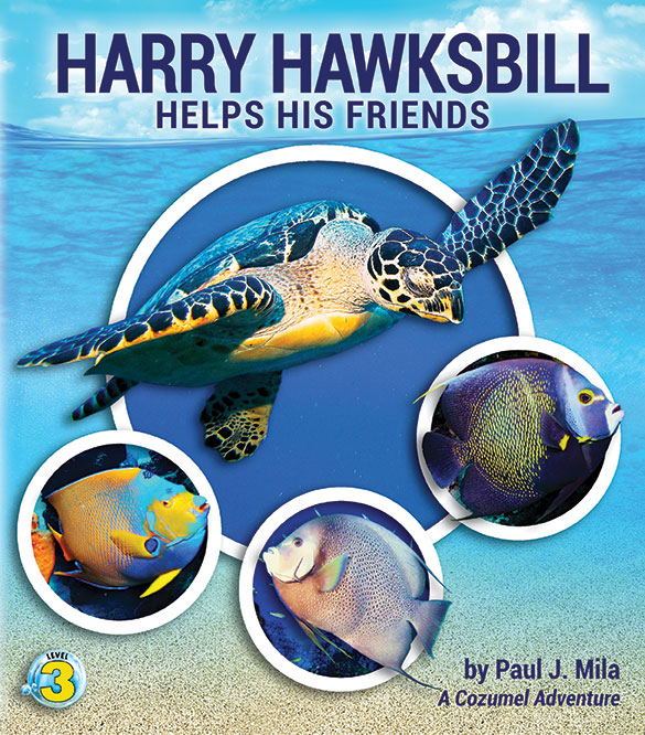 HarryFrontCoverWeb